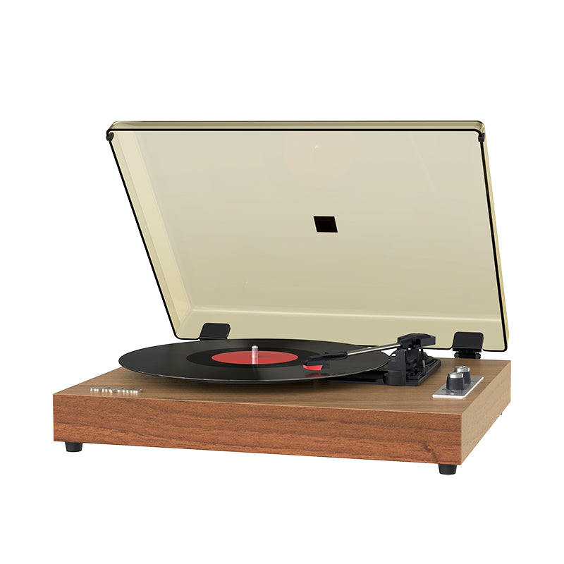 WhatPlus 1900 一体式黑胶唱机